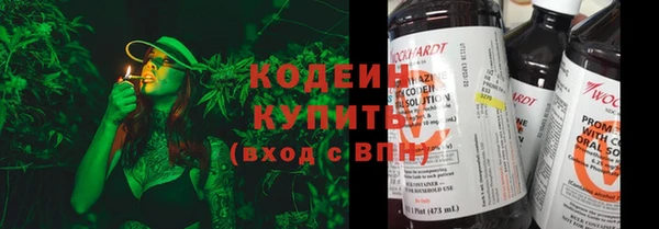 ПСИЛОЦИБИНОВЫЕ ГРИБЫ Алексеевка